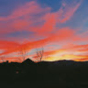 Meet your Posher, Elena